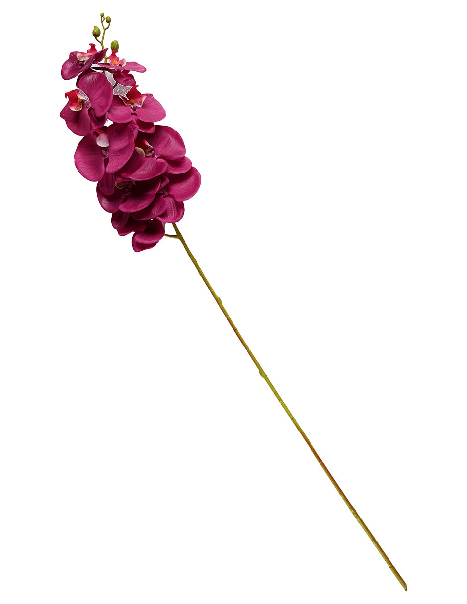 Vara de orquídea
