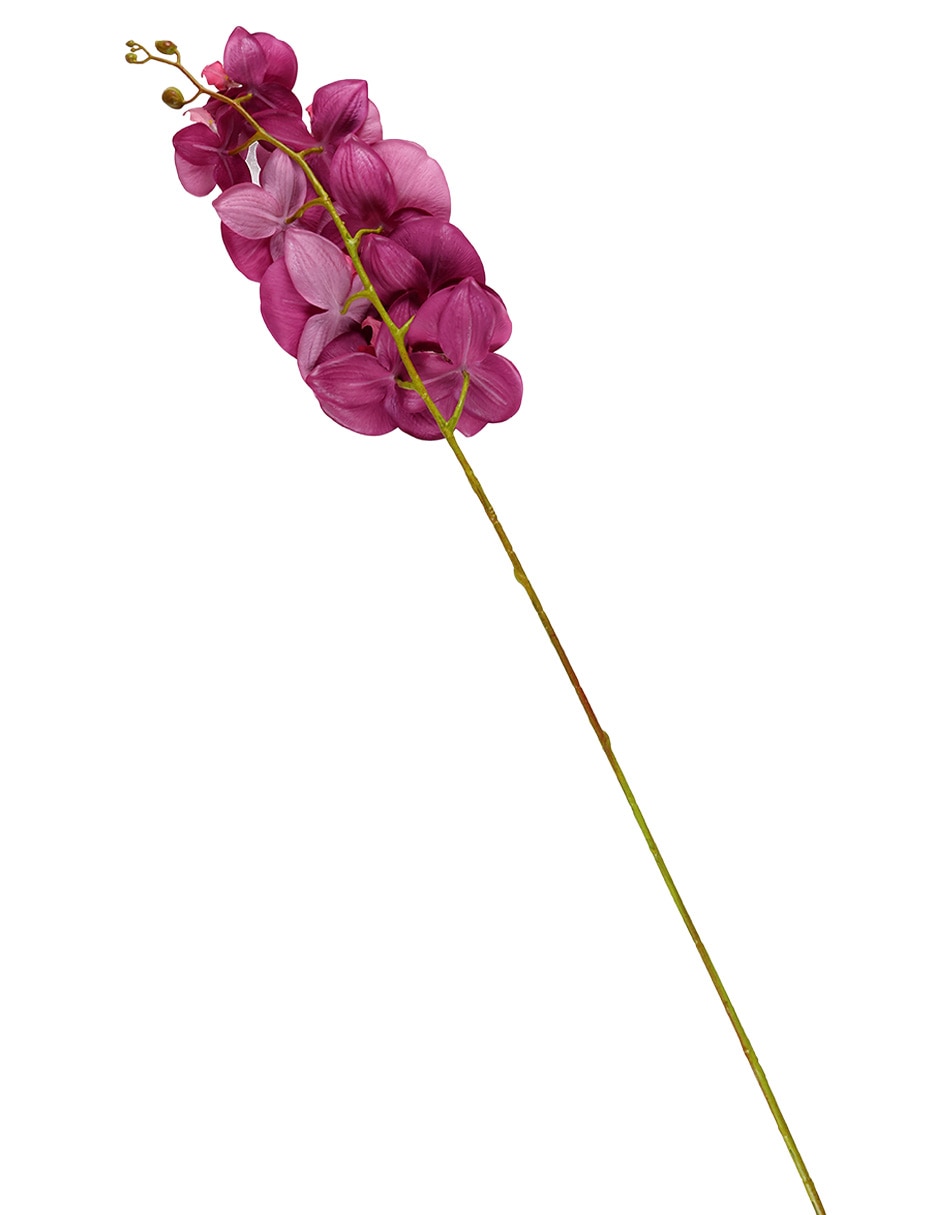 Vara de orquídea