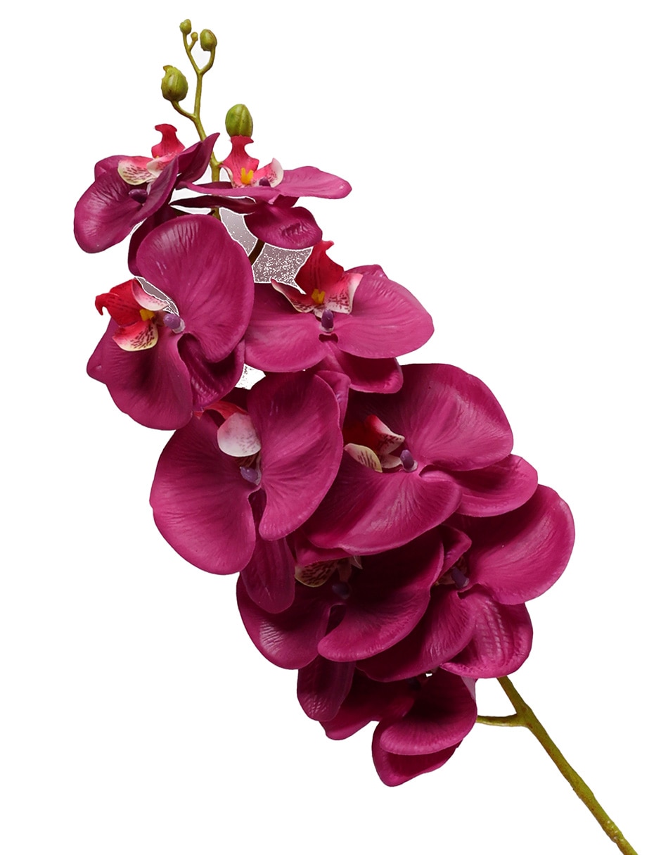 Vara de orquídea