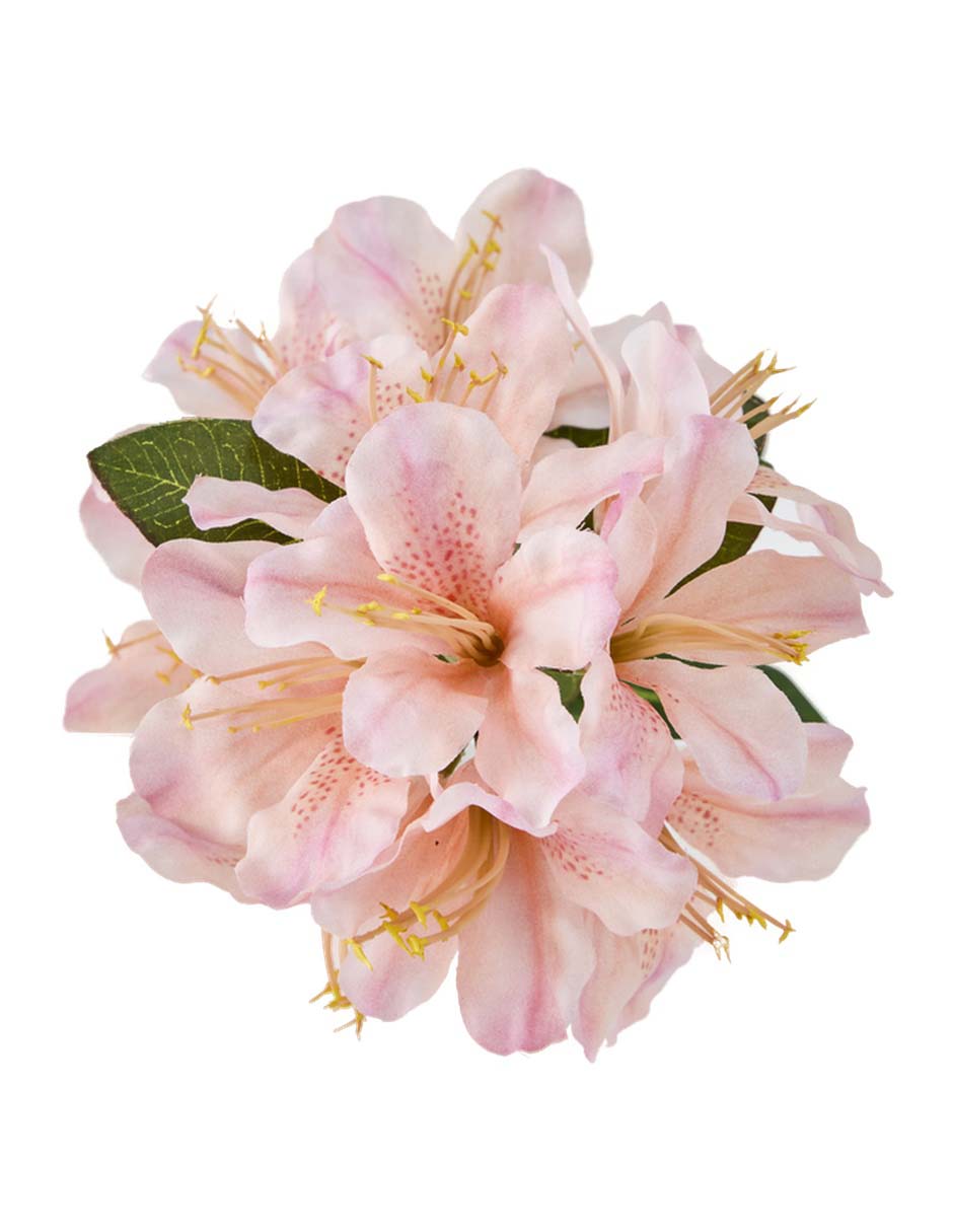 Flor de azalea 3