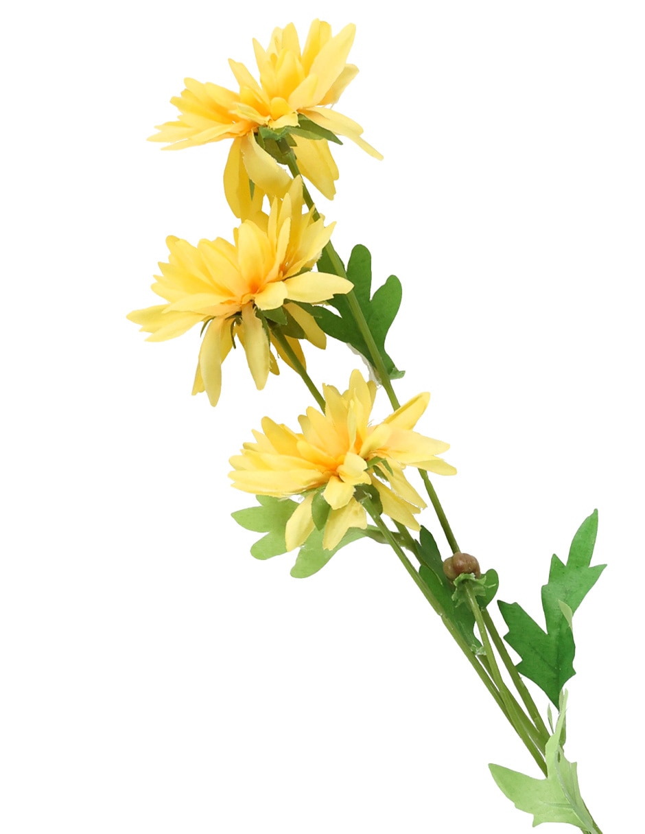 Flor de daisy 2