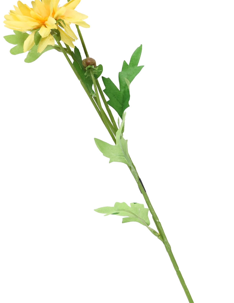 Flor de daisy 4