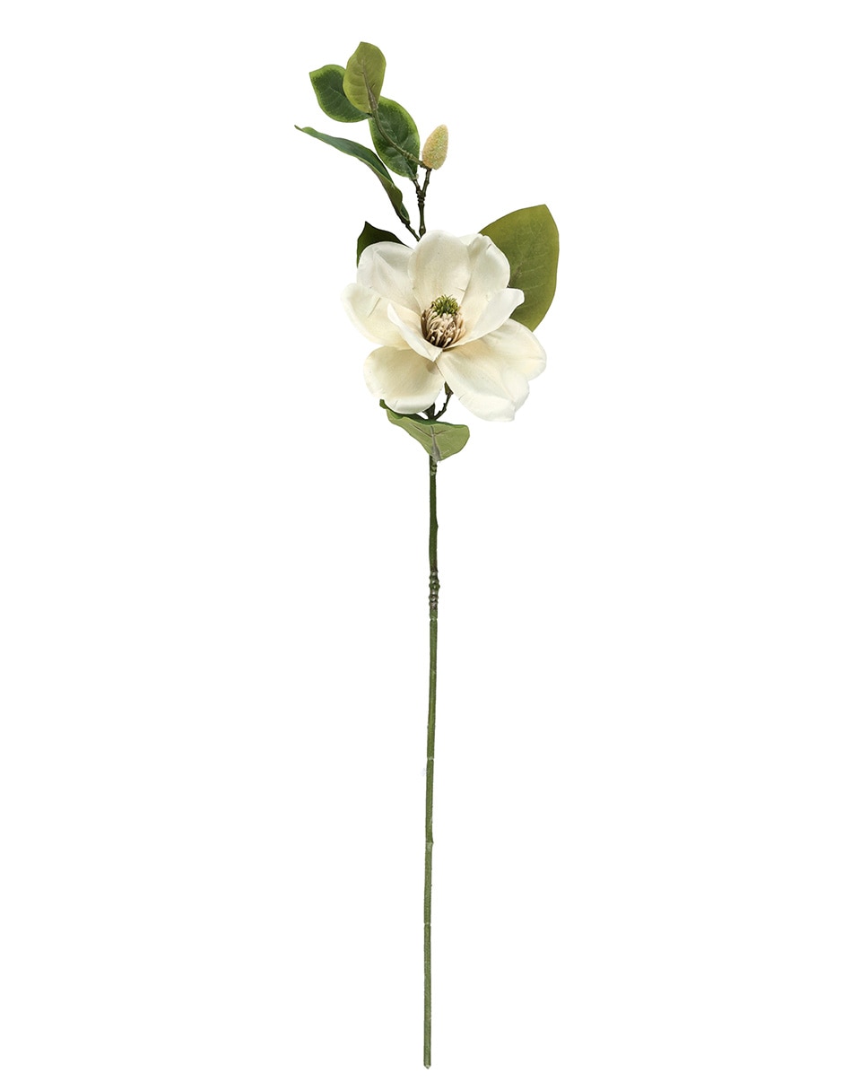 Flor de magnolia