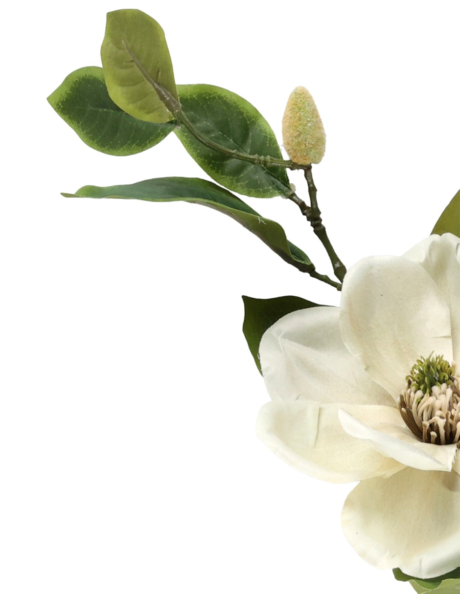 Flor de magnolia 3