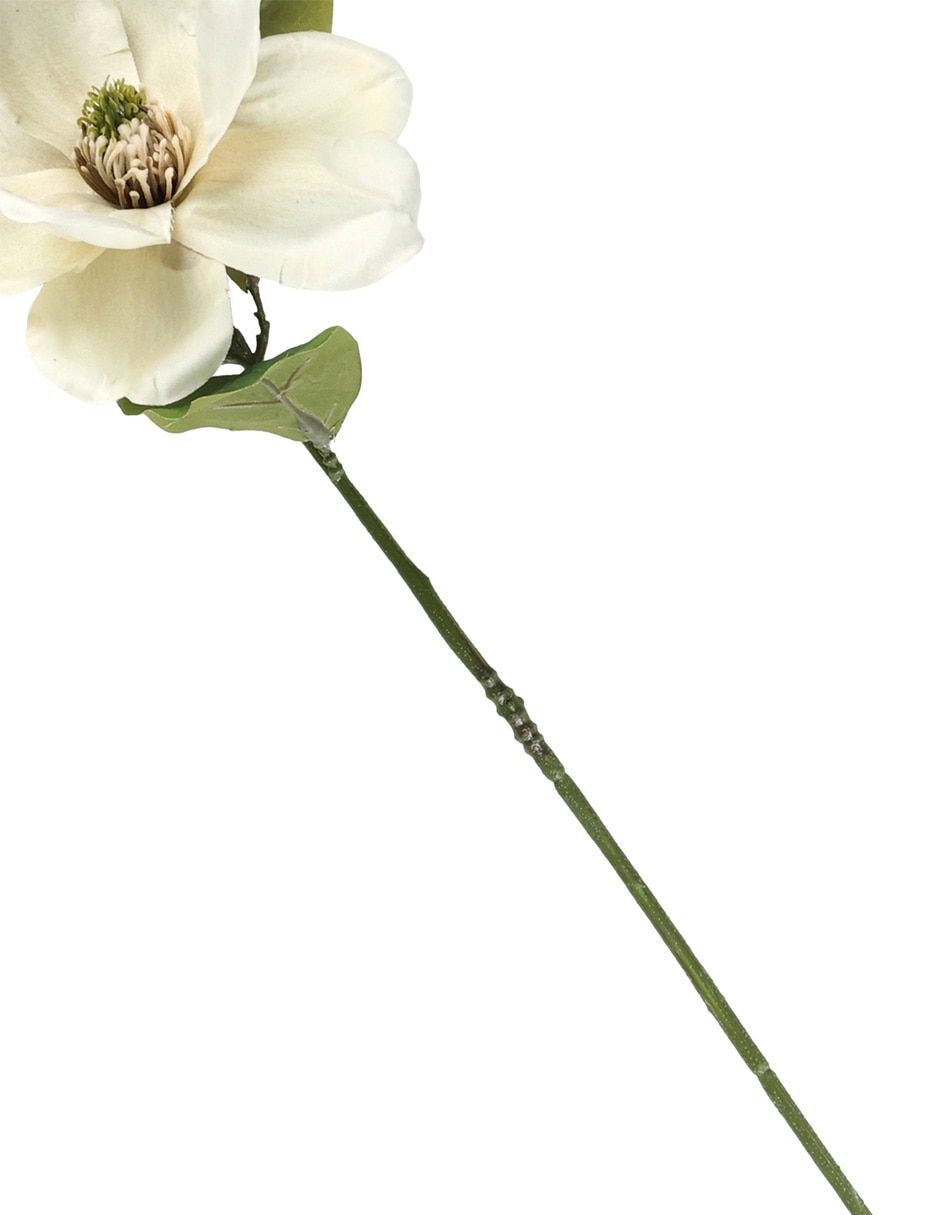Flor de magnolia 4