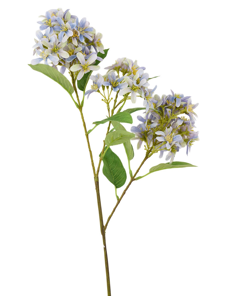 Flor de lilac 2