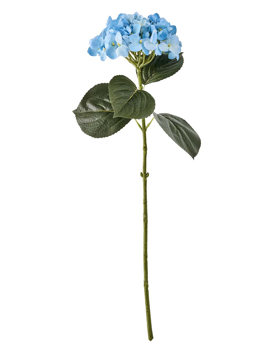 Ramo de hortensia