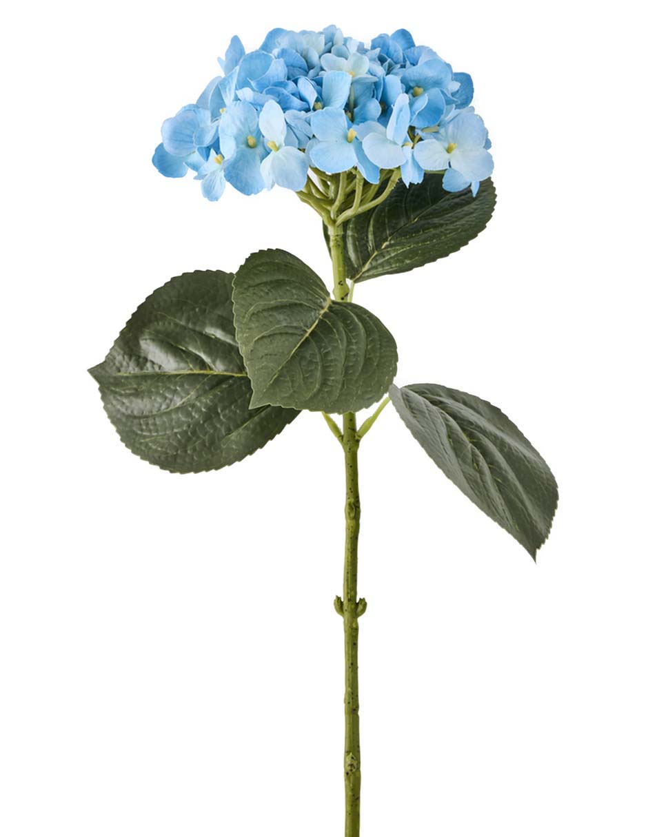Ramo de hortensia 2
