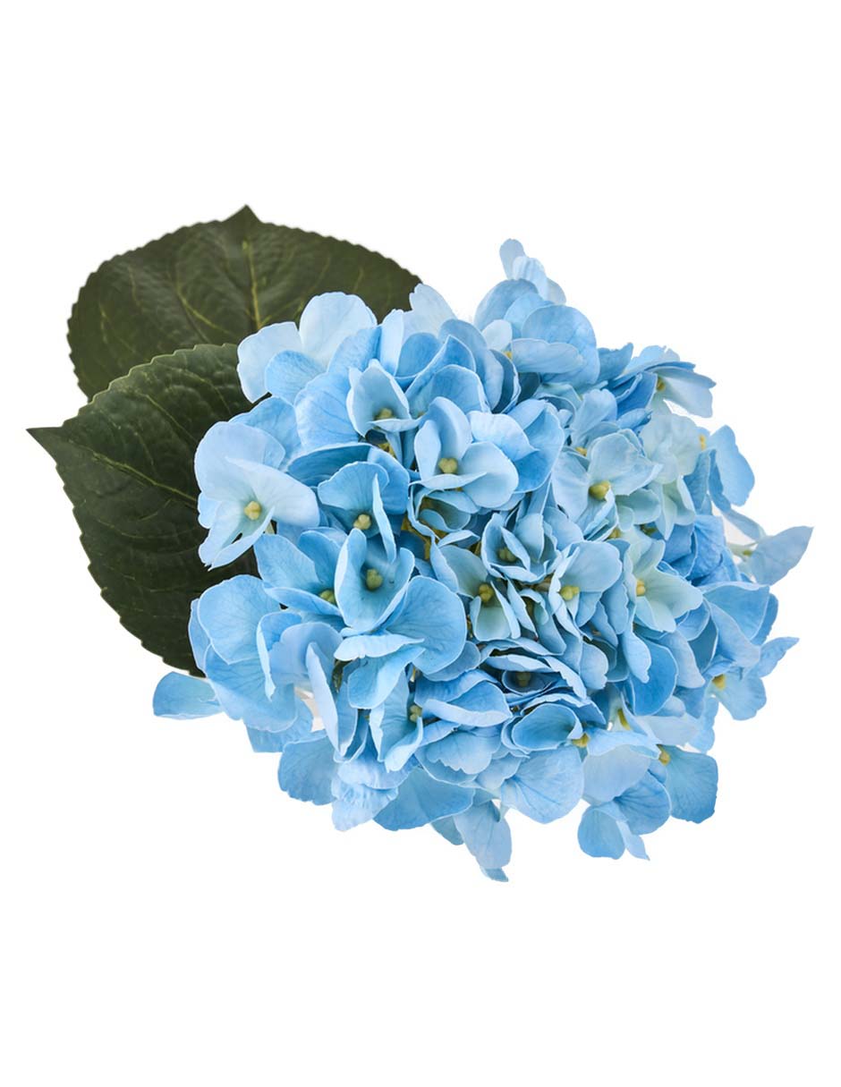 Ramo de hortensia 3