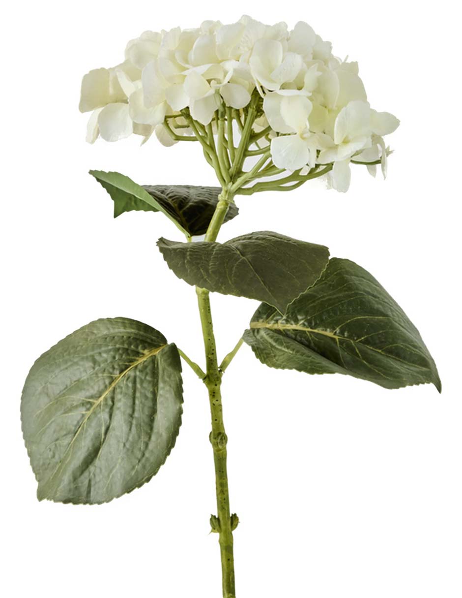 Ramo de hortensia