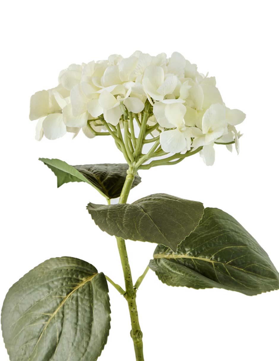 Ramo de hortensia