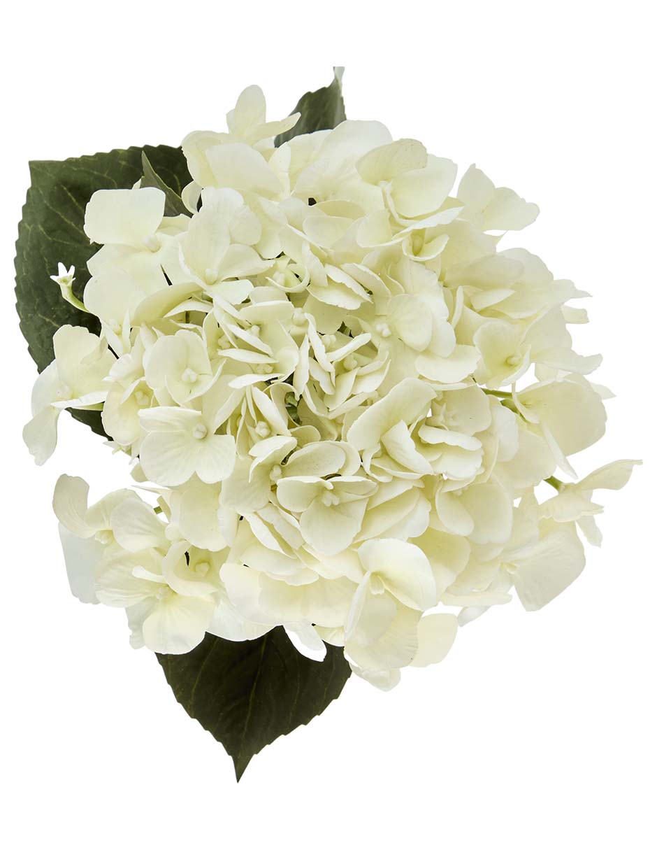 Ramo de hortensia