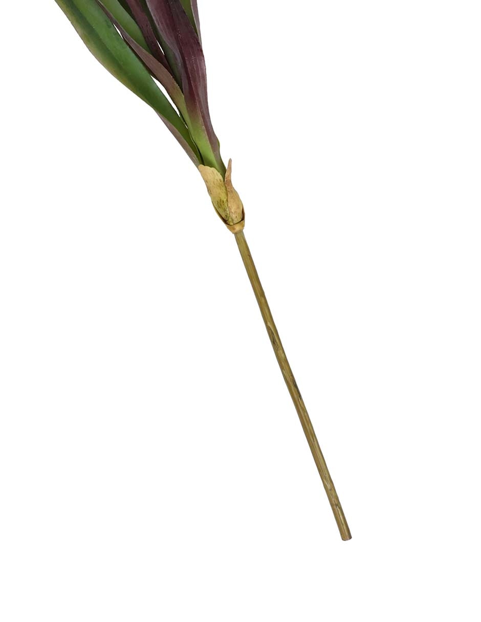 Flor de nube 3