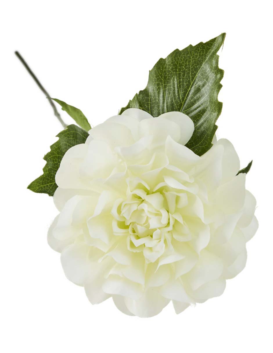 Flor de dalia 3