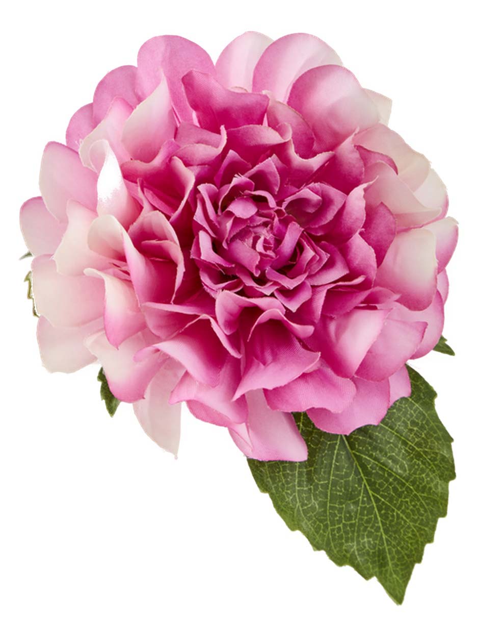 Flor de dalia 3