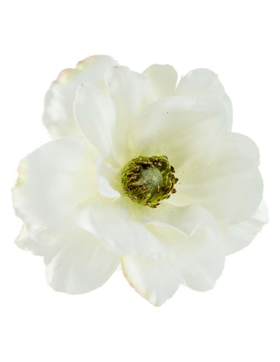 Flor de anémona 3