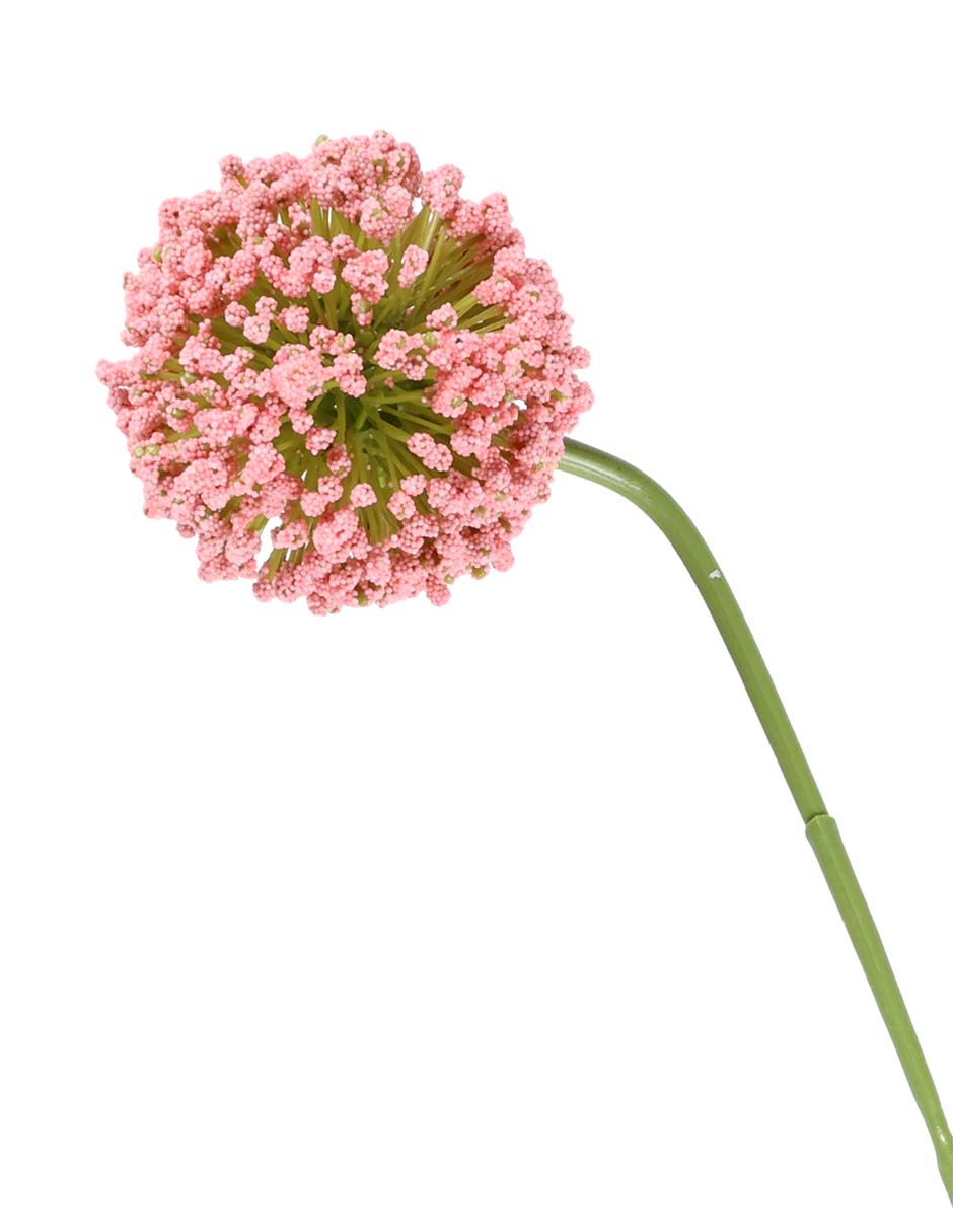 Flor de allium 2