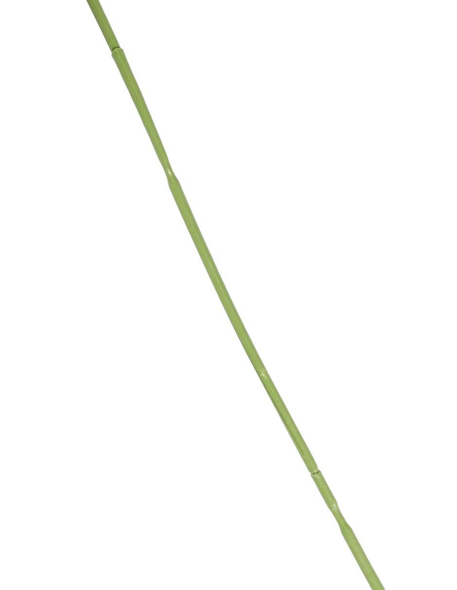 Flor de allium 3