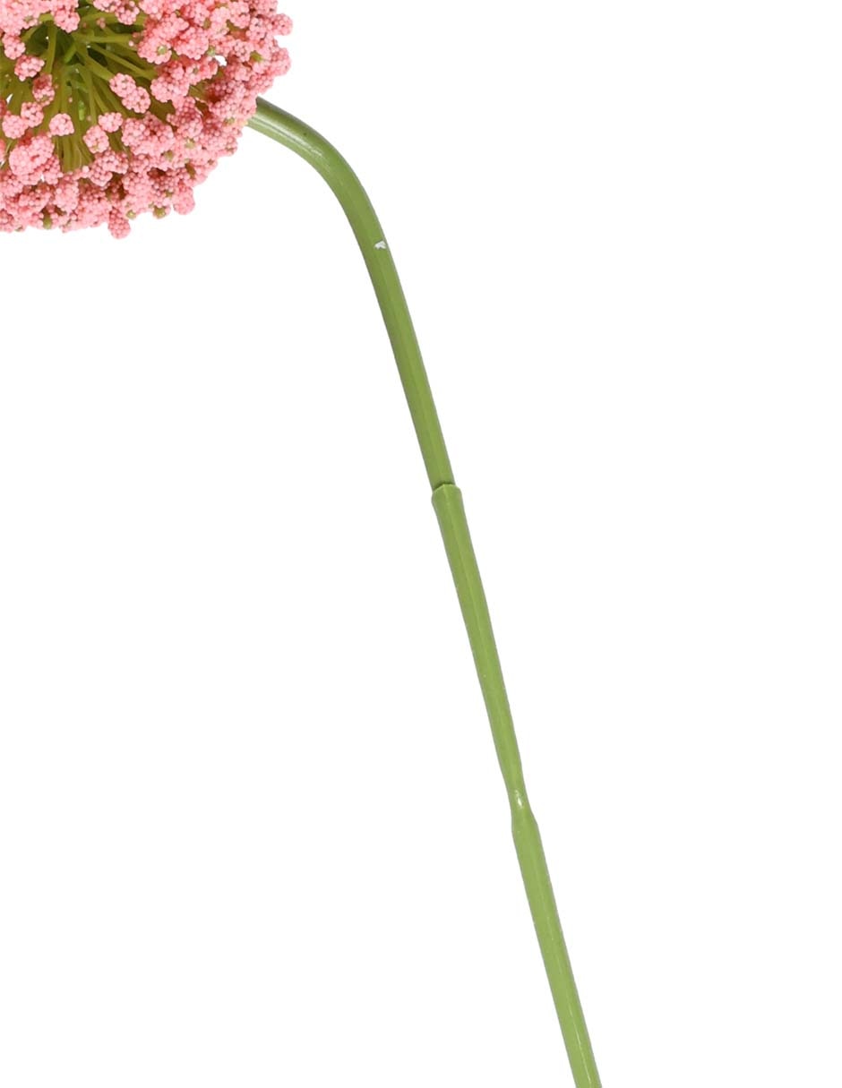 Flor de allium 4