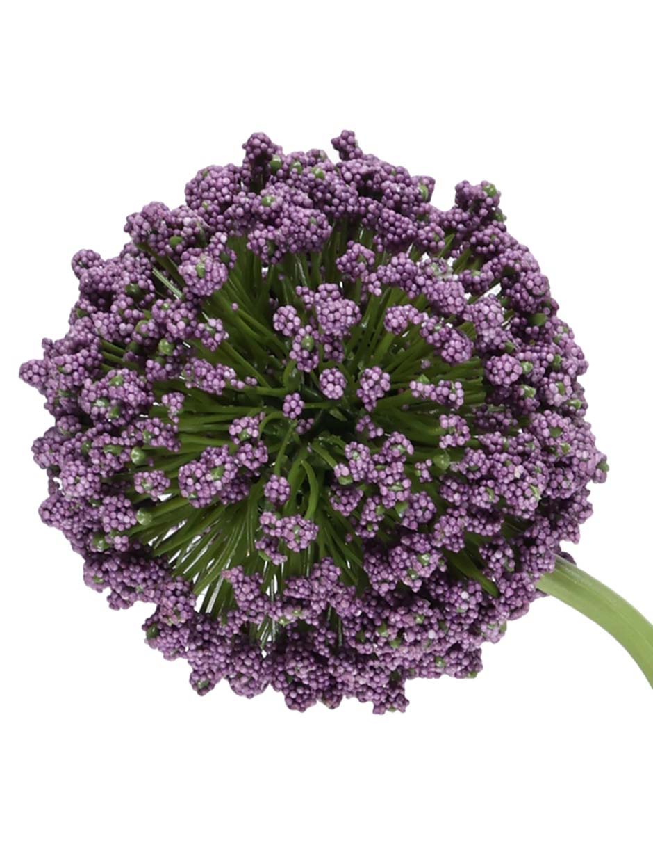 Flor de allium 2