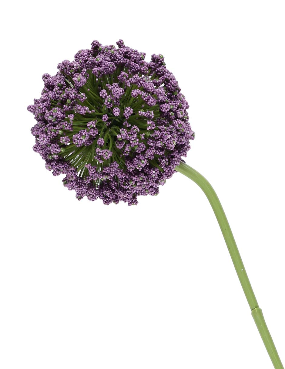 Flor de allium 3