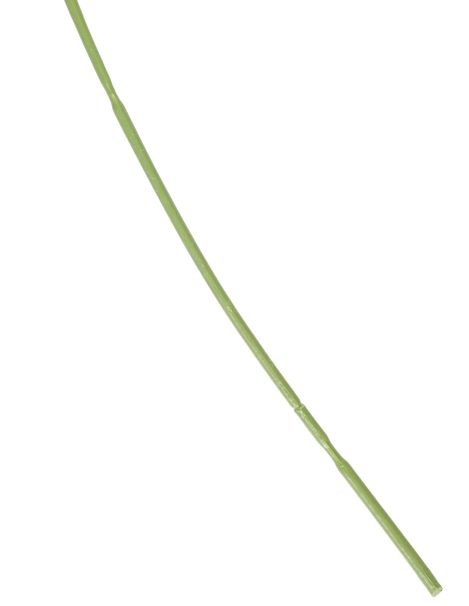 Flor de allium 4