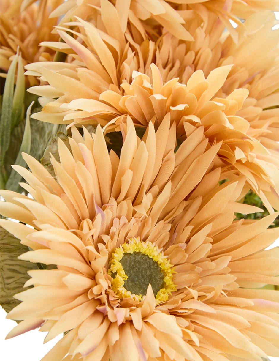 Ramo de gerbera