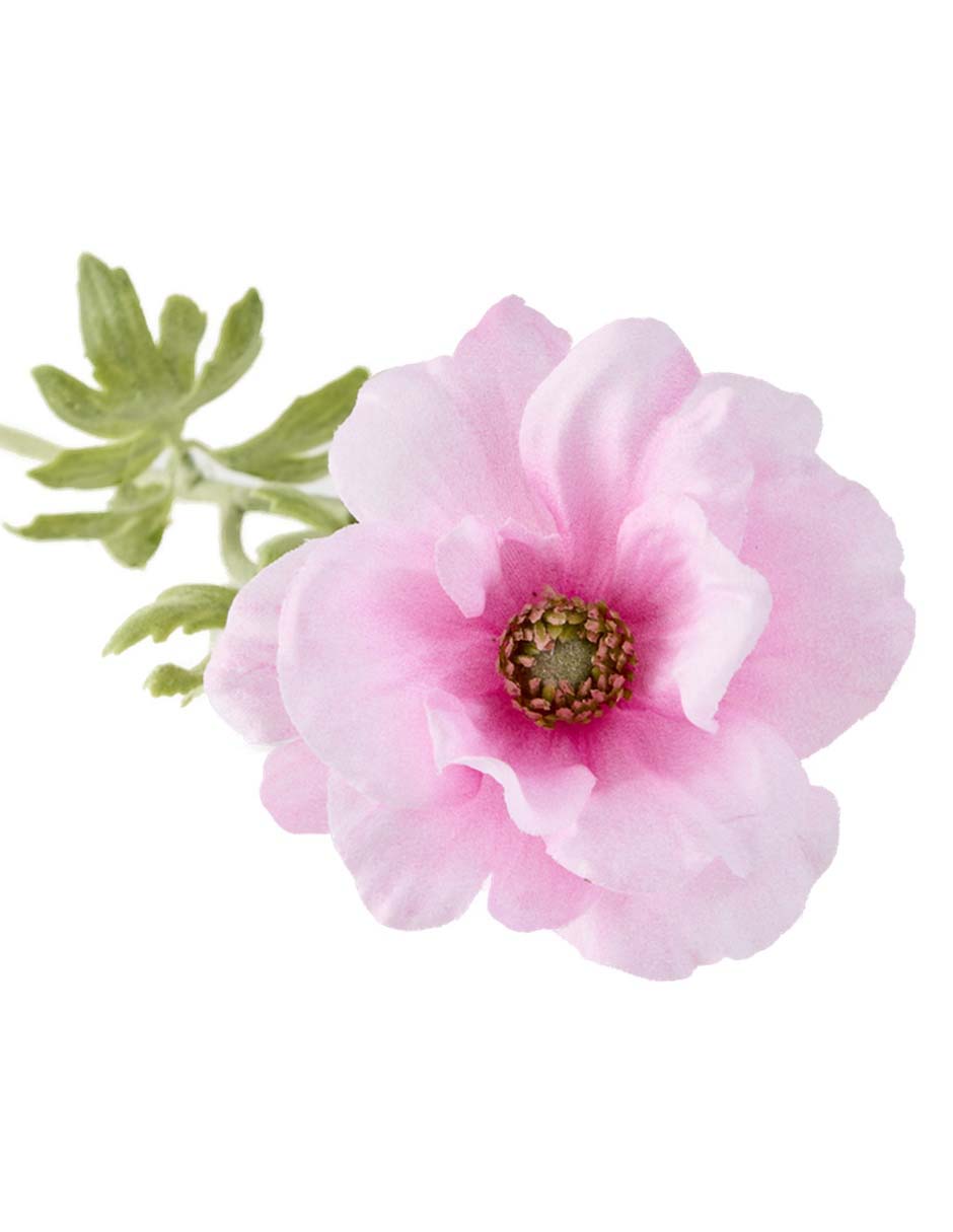 Flor de anémona 3