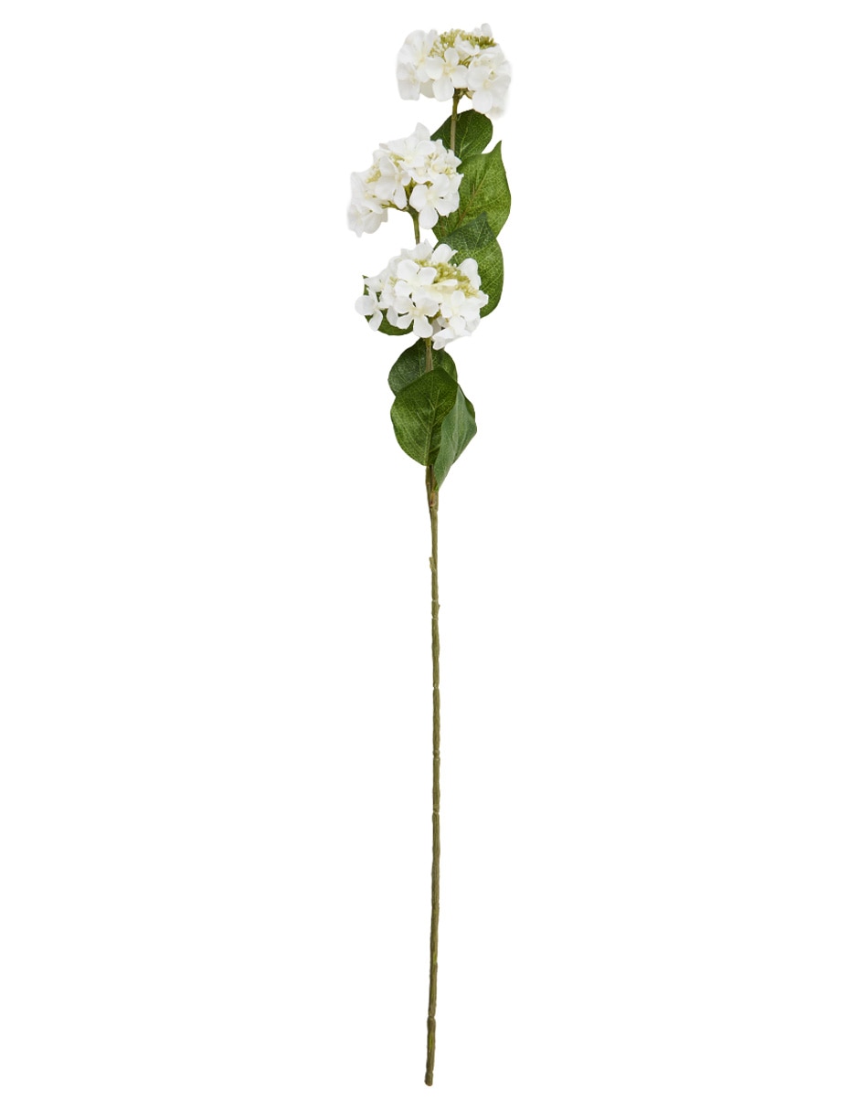 Vara de allium
