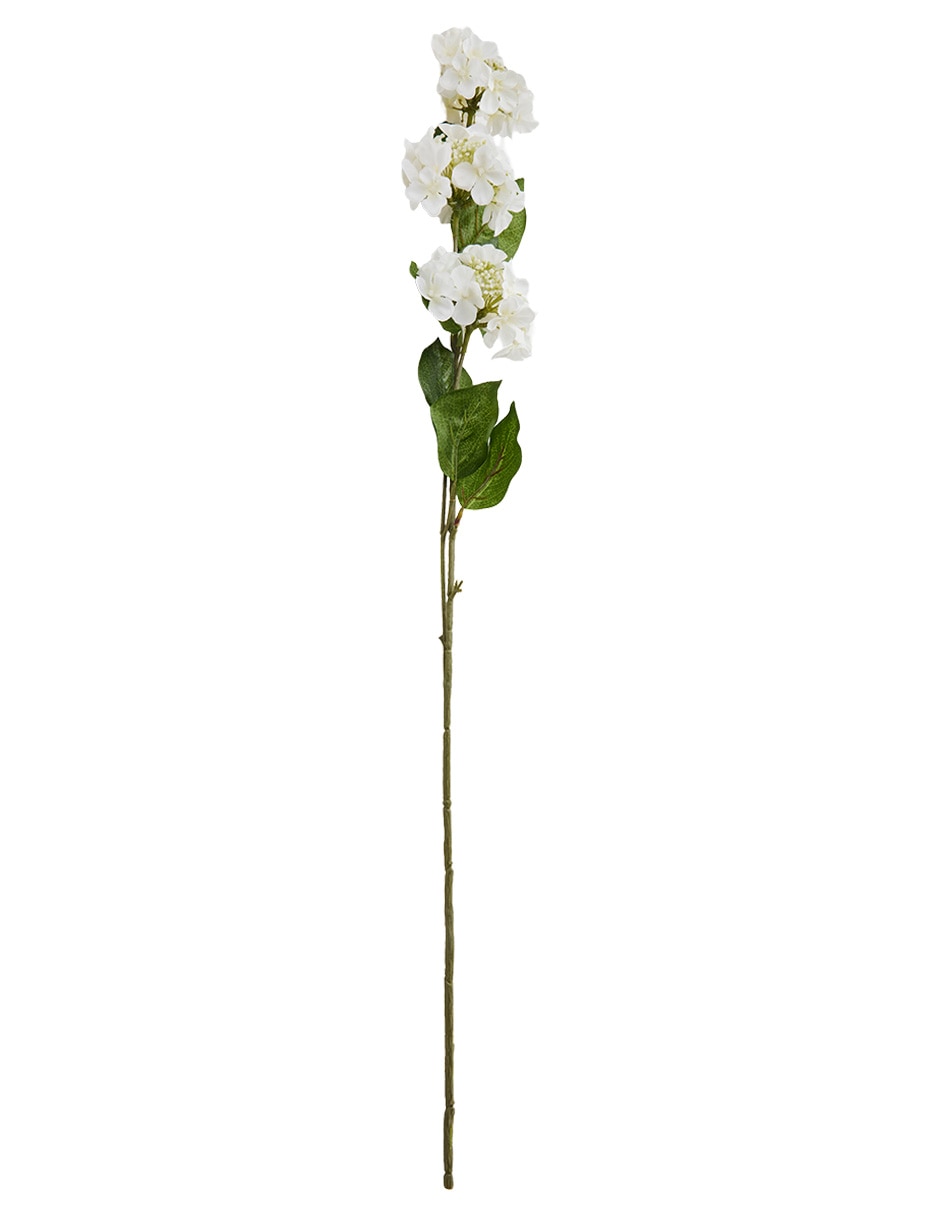 Vara de allium 2