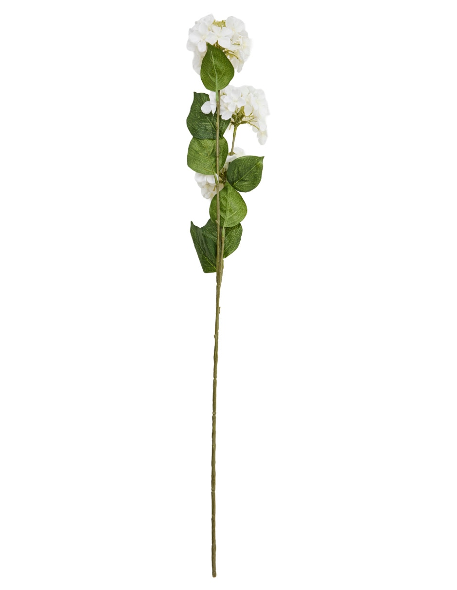 Vara de allium 3