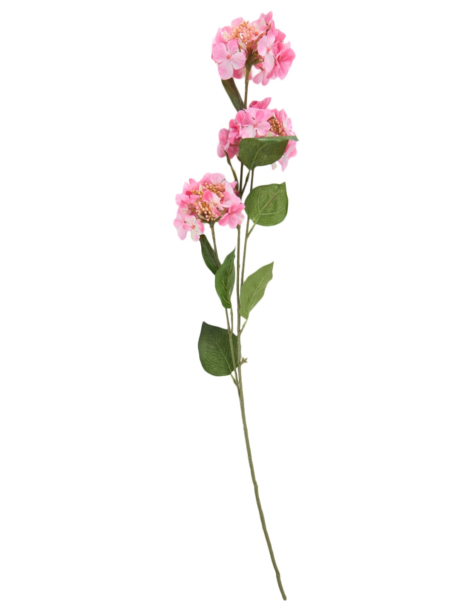 Vara de allium
