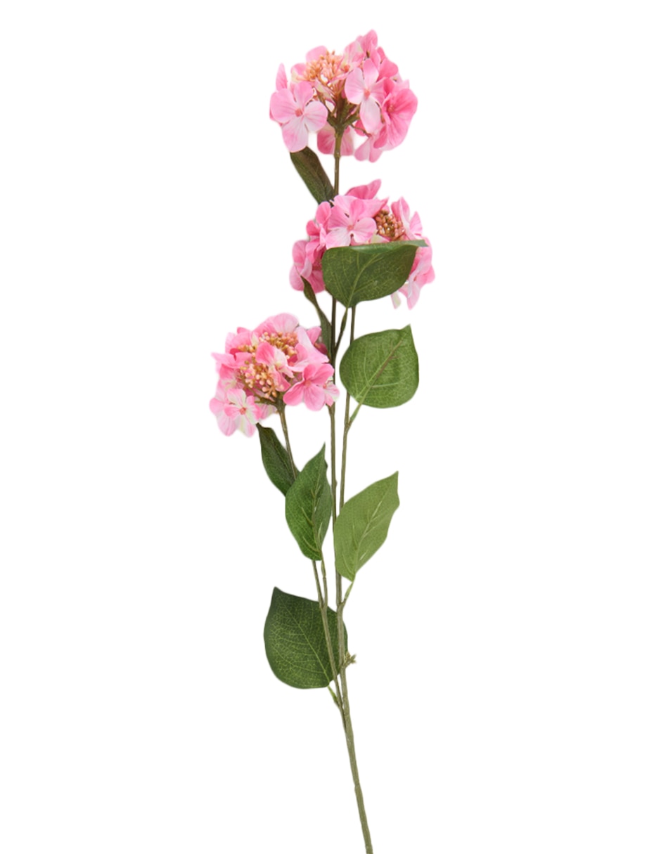 Vara de allium 2