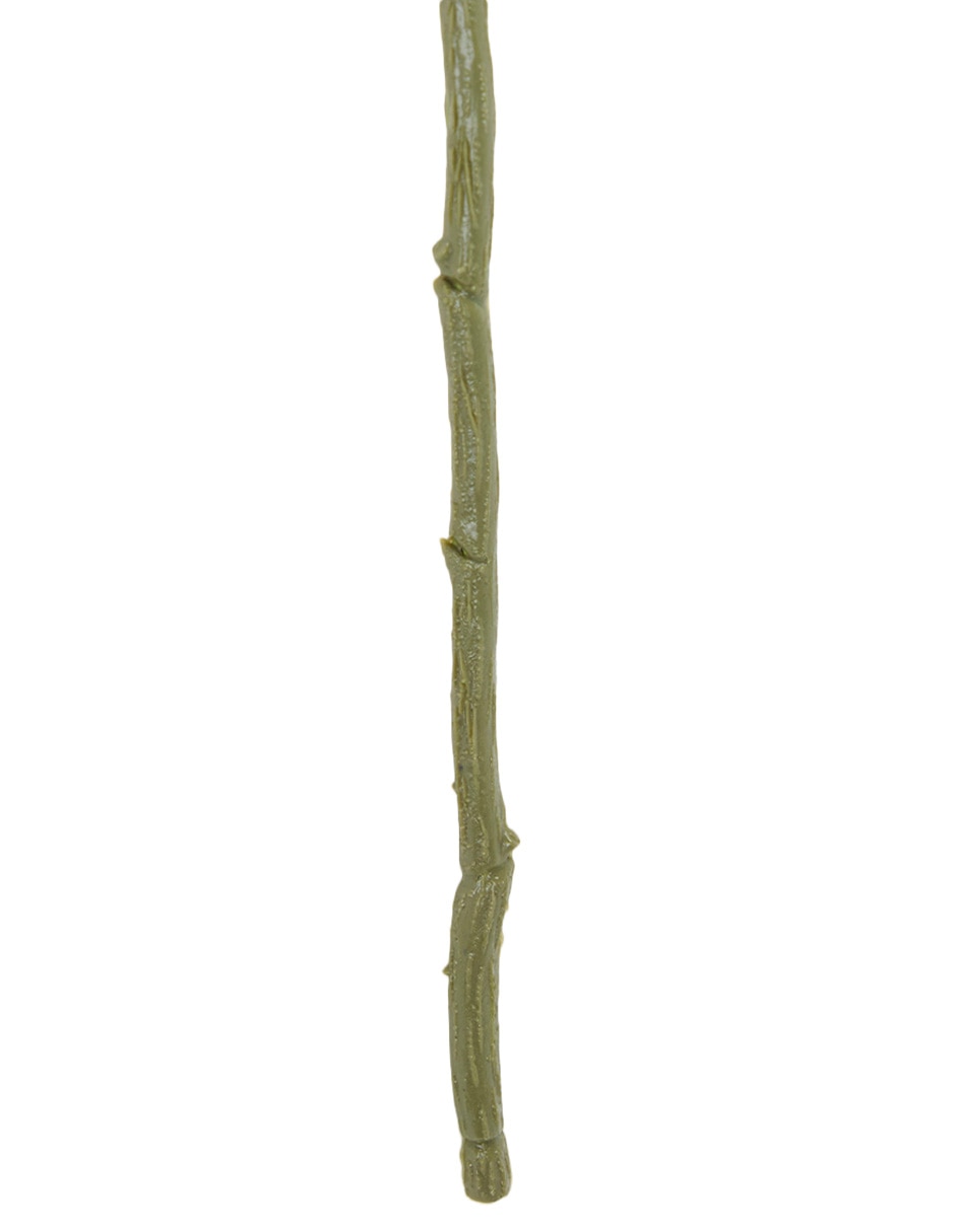 Vara de allium 4
