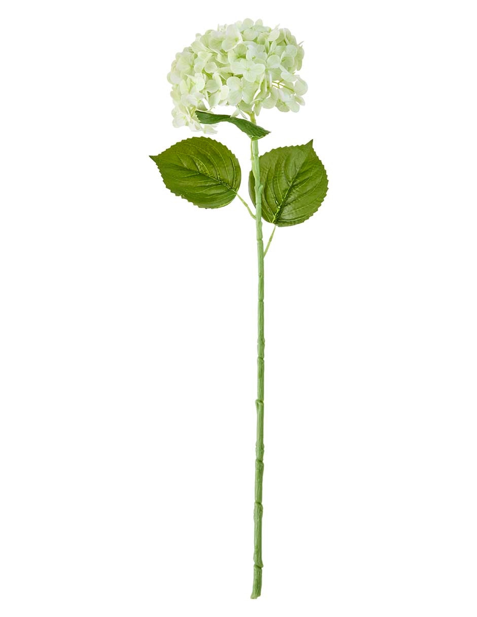 Flor de hortensia