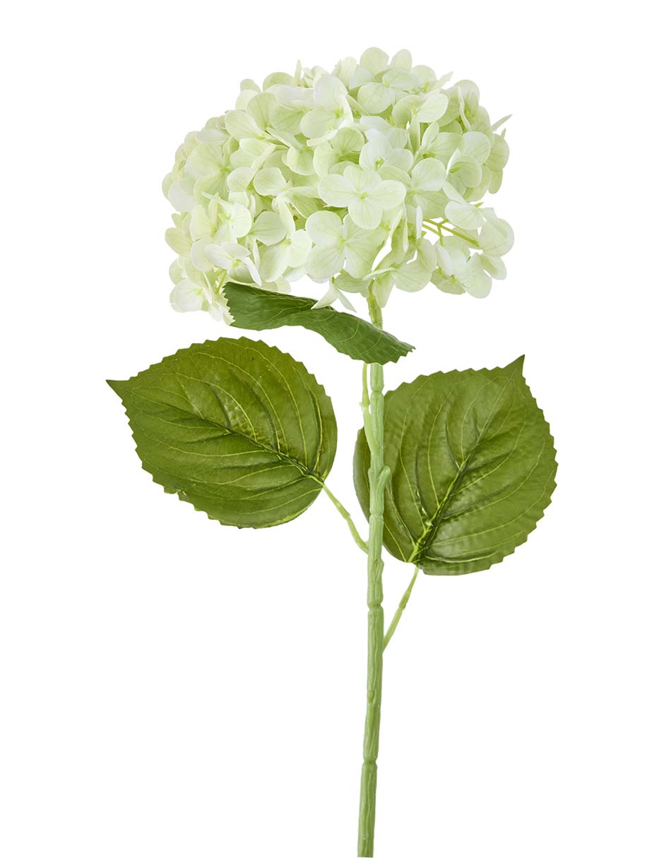 Flor de hortensia 2