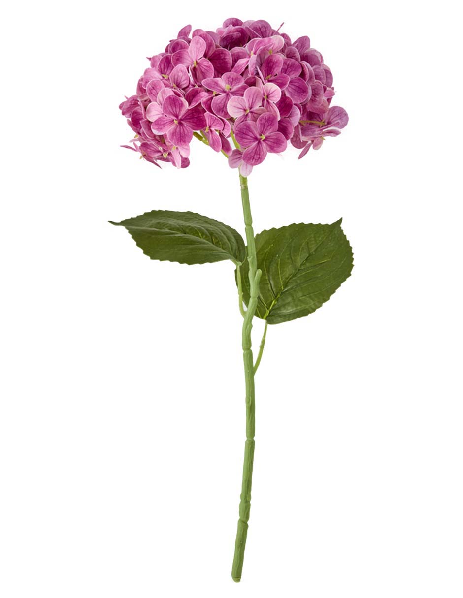 Flor de hortensia Haus