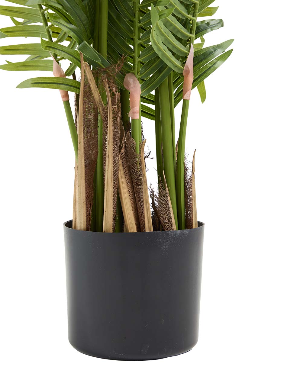 Palmera Haus 120 cm con maceta