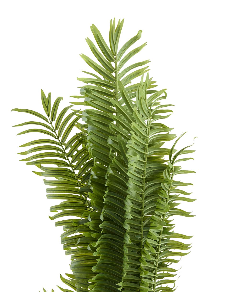 Palmera Haus 120 cm con maceta