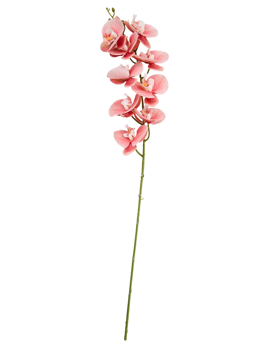 Vara de orquídea