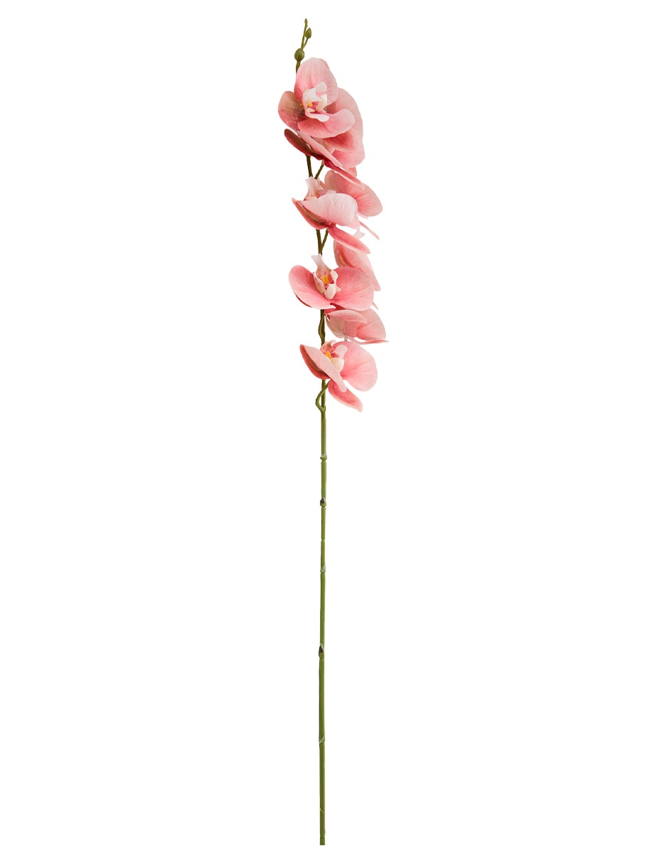 Vara de orquídea 2
