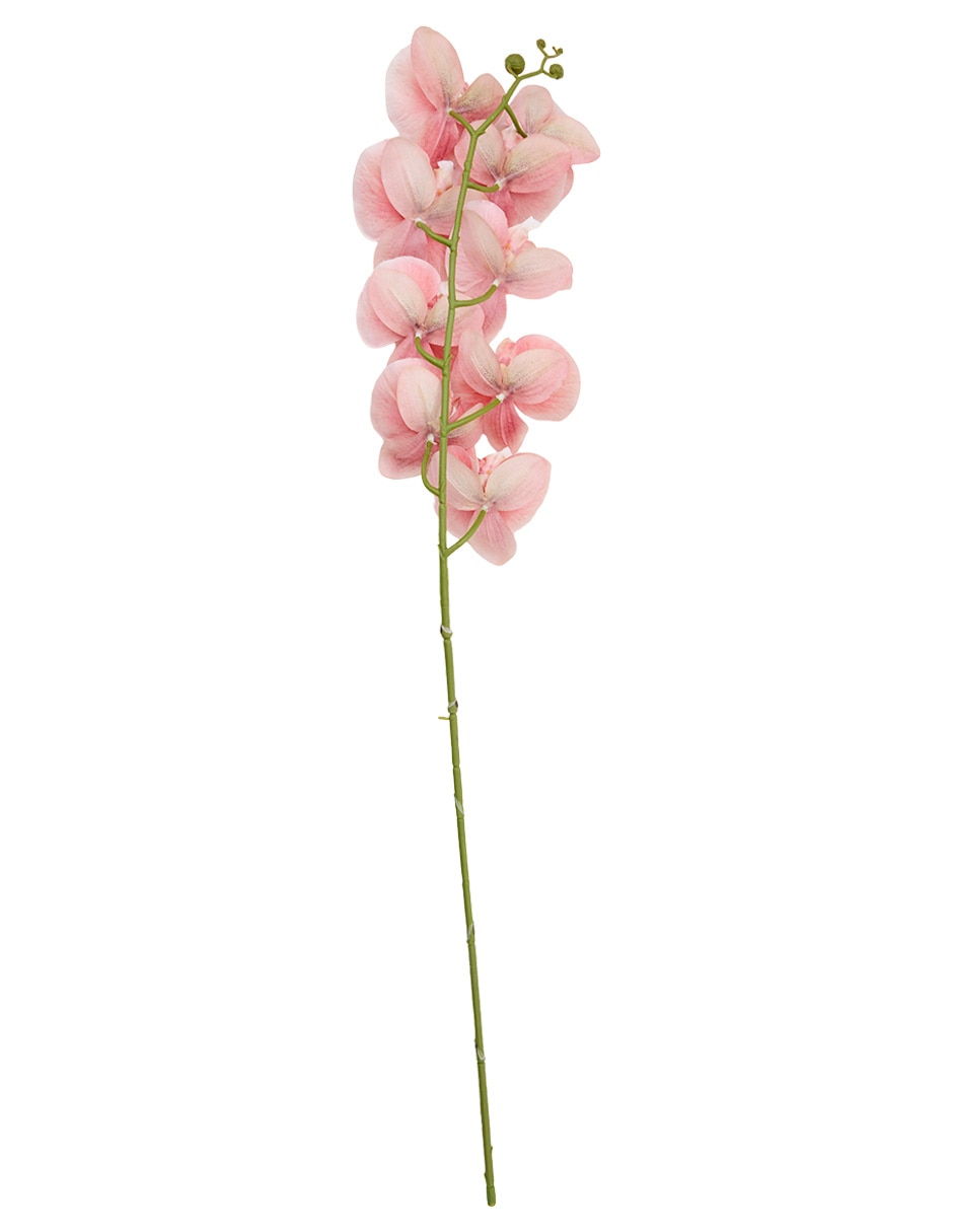 Vara de orquídea 3