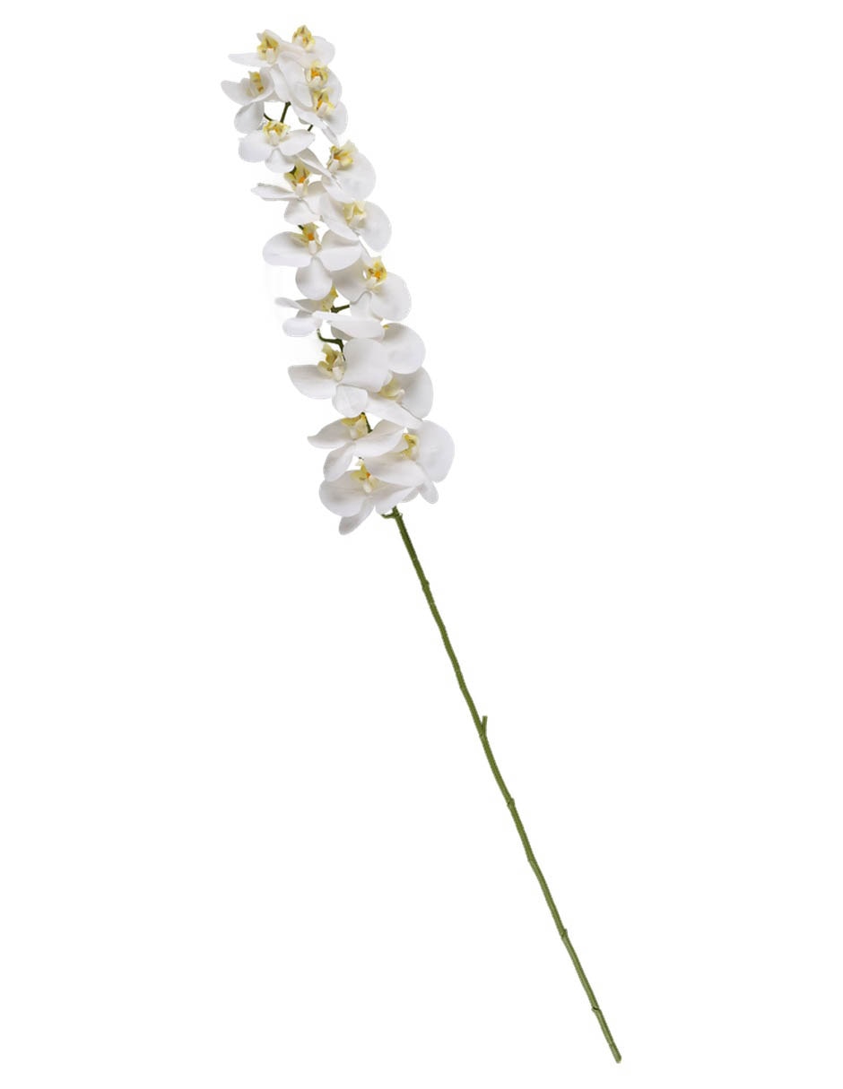 Vara de orquídea