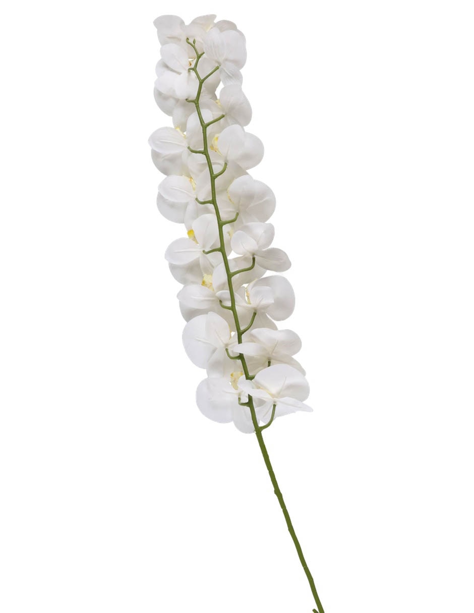 Vara de orquídea 2