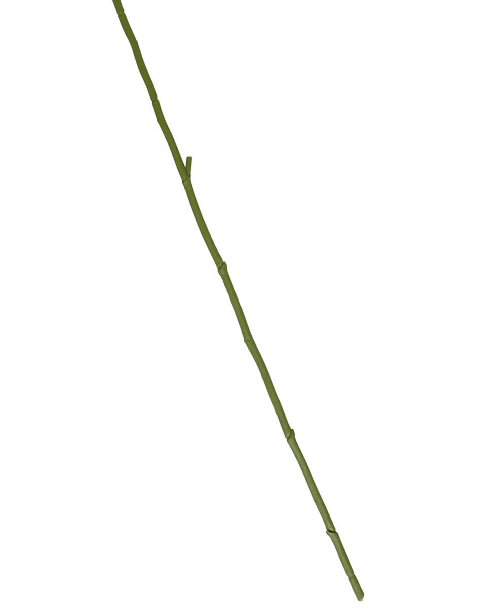 Vara de orquídea 5