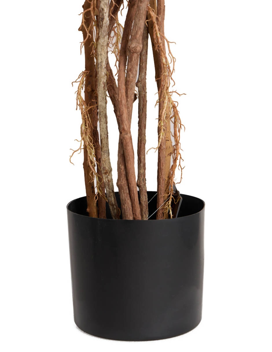 Árbol