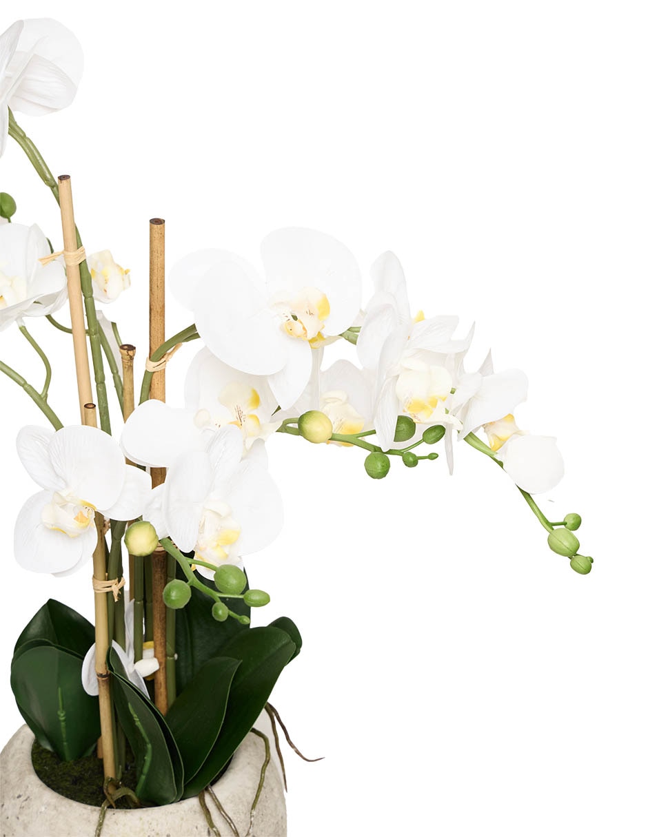 PREELABORADO ORQUÍDEA, 61 CM, BLANCO 2