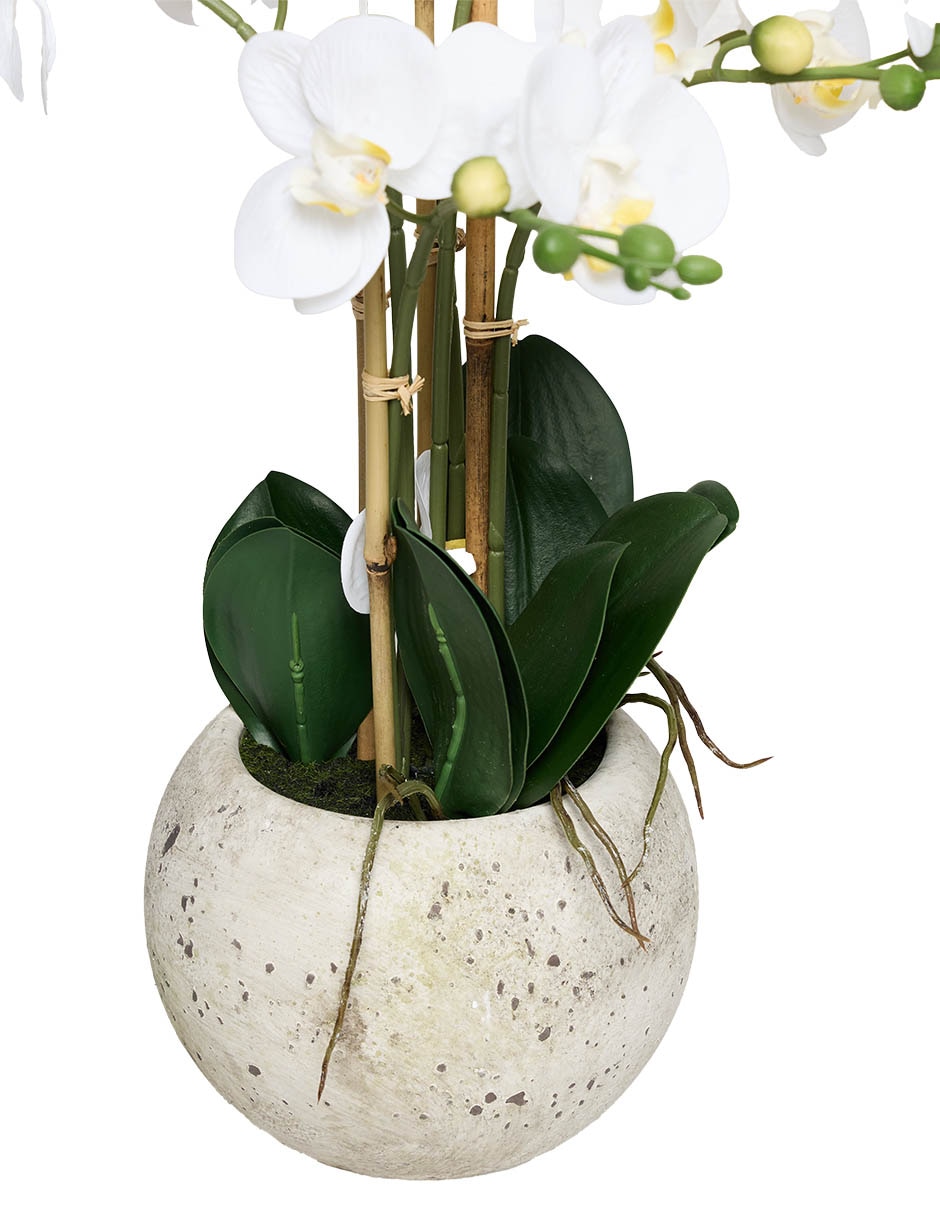PREELABORADO ORQUÍDEA, 61 CM, BLANCO