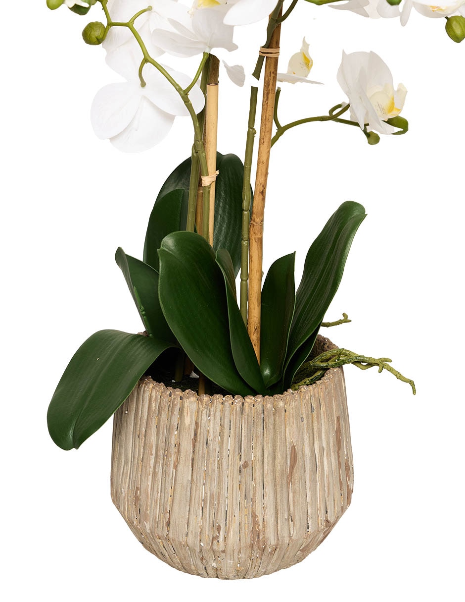 PREELABORADO ORQUÍD, 69 CM, GRIS CLARO 3