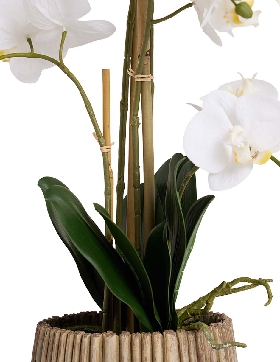 PREELABORADO ORQUÍD, 69 CM, GRIS CLARO PREELABORADO ORQUÍD, 69 CM, GRIS CLARO